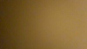 My kitty washed her udders and makes us think about what to do with her clean body. What would you do?