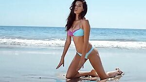 Denise Schaefer