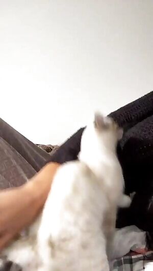 Pancake boob