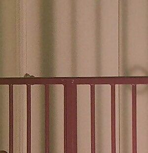 C.C. Costigan- Passion's Obsession