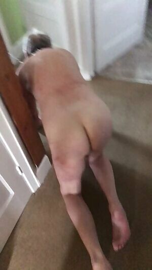 Stupid Old Fag got what he paid for from his 2 British Scally Masters. This was just the beginning of the meet