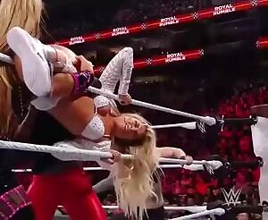 so cute seeing two proud women wrestlers try so hard to eliminate a diva