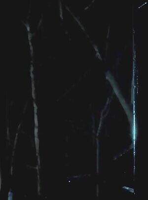 Sharkansas Women's Prison Massacre Skye McDonald as Sarah Mason ENHANCED 1080p