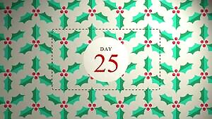 Day 25 - Merry Christmas you filthy animals