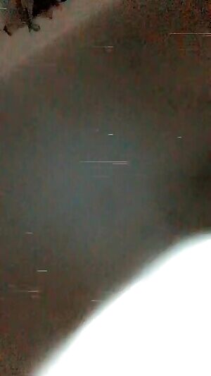 Nothing else to do at this time. 🤦‍♂️