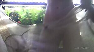 Morning sun on my morning ass. Alexis Bandit