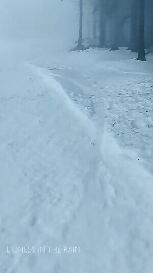 Do you think you would have been able to tell what i was doing through the fog? 😝