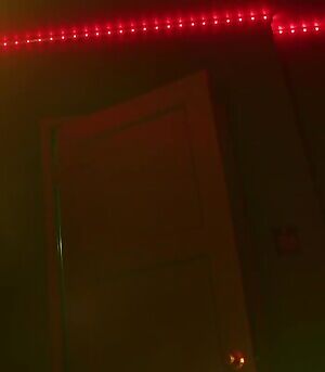 Alexandra Daddario in Songbird