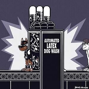 Automatic Latex Dog Wash