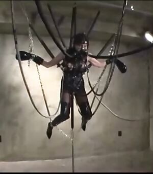 When she’d asked to be ‘put on display’ I’m not so sure this is what she’d imagined...